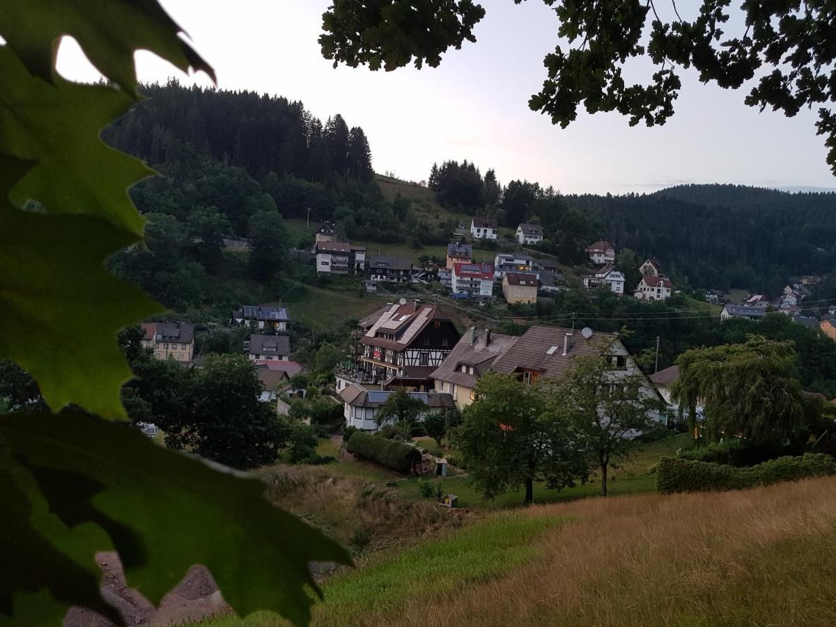 Gasthaus Muehlenstube Lauterbach  Extérieur photo